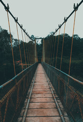 hanging bridge over river