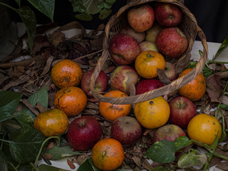 Frutas frescas para el desayuno