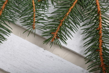 A branch of blue spruce on the background of wooden boards painted white. Winter holidays in green...