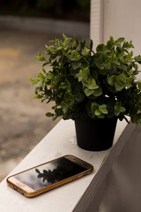 A smartphone and a green potted plant on the windowsill.