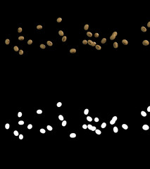 3D illustration of a soybean flow with alpha layer
