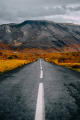 Autumn landscape, empty road goes far ahead to mountains, Iceland