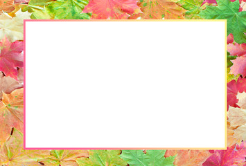 A frame of autumn colored maple leaves in  red and yellow with a blank white space inside for text