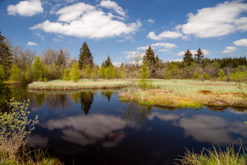 A peaceful lake surrounded by moors and trees on a sunny spring day with some clouds skattered across the sky.