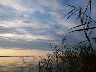 Sunset at lake Chiemsee with grass silhouette