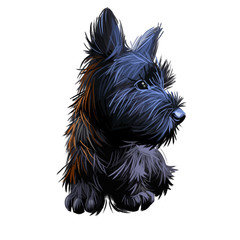 Skye Terrier lap dog tiny pet of small size digital art. Puppy looking in distance breeding domestic animal closeup watercolor portrait