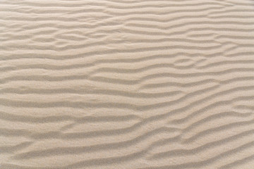 Fototapeta na wymiar The pattern on the sand. Deltebre, Catalonia, Spain