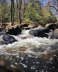 Turbulent water flowing over rocks at a state park in Alabama.