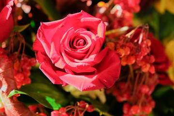 Red rose and a bouquet of flowers. Berries of red viburnum. A romantic gift from natural plants.