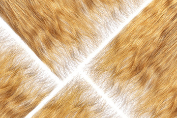 Damaged brown hair on white as background. Hair care - clipart