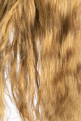 Brown hair before and after brushing. Haircare procedure concept