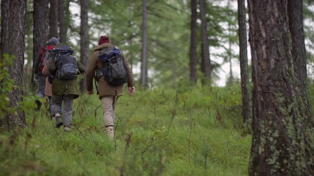 Rear view slow motion shot of group of male and female hikers with backpacks walking through forest on autumn day