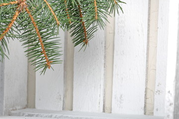 A branch of blue spruce on the background of wooden boards painted white. Winter holidays in green...