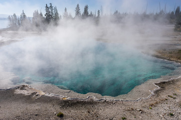 Fumerolles Yellowstone