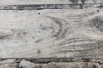 The old bark tree. Abstract texture, background, copy text for designers.
