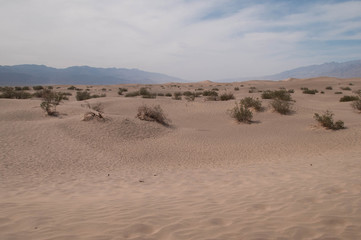Fototapeta na wymiar Désert Death Valley 