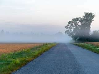 fog landscape with cereal field and fog, fuzzy contours