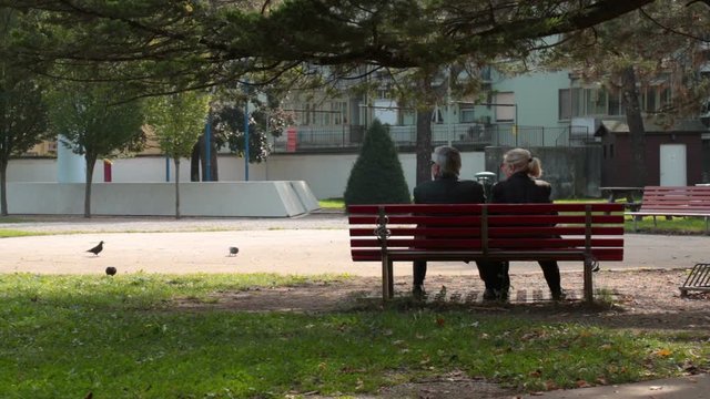 ouple of seniors sitting on a bench, back view of old man and his wife in a resting moment