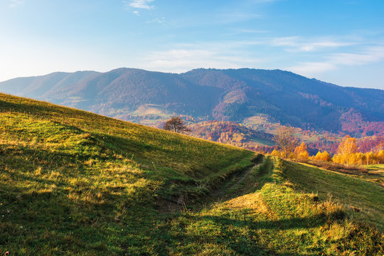 rural area in mountain at sunrise. wonderful golden autumn weather with high clouds on the blue sky. path through grassy meadow in to the distant valley. nature in vivid fall colors