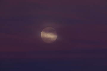 Fototapeta na wymiar Full Moon light with clouds 