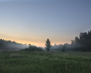 foggy sunrise in the field 