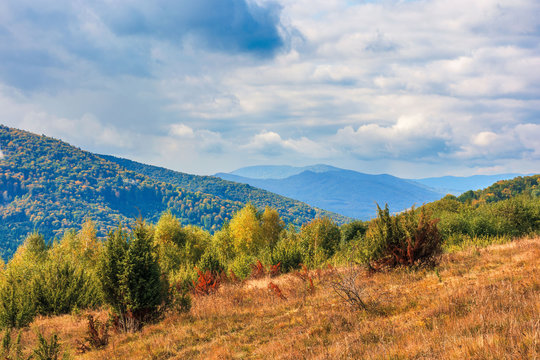 beautiful mountain landscape in autumn. colorful scenery on a sunny day. changing weather with clouds on the sky. weathered grass on the meadow. distant ridge in haze. travel back country concept