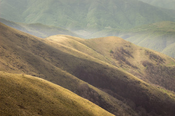 Dreamy, soft, sunlit endless golden rolling hills and valleys on a highlands of Old mountain against a green forest in the background