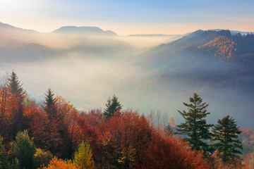 misty sunrise in mountains. wonderful autumn weather. beautiful nature scenery observed from the top of a hill. trees in colorful fall foliage. fog glowing in the distant valley 