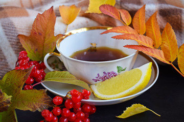 Fresh fragrant tea with lemon will warm you on a cool autumn day.Yellow leaves and a warm scarf.