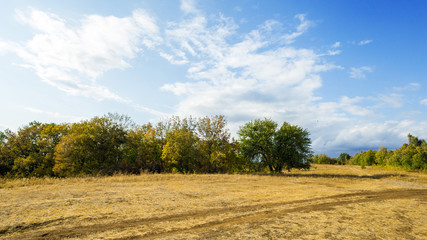 Autumn landscape of nature