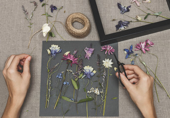 Girl making herbarium. Dried herbs and dried flowers for making herbarium