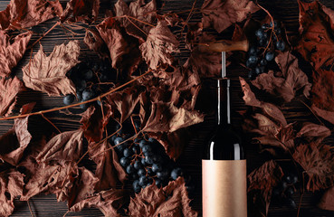 Bottle of red wine with corkscrew. On a table dried vine leaves and blue grapes.