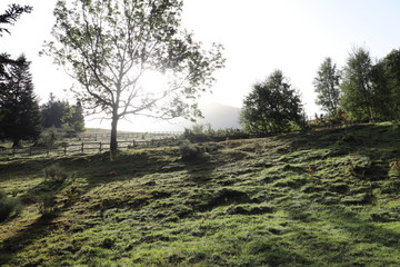 Chemin refuge Marailles