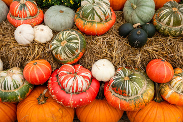 many different pumpkins, in the background straw
