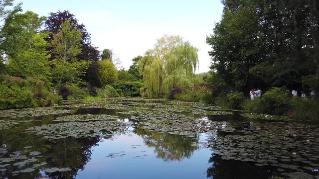 Pond with lilies in Giverny