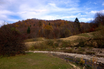 Fototapeta premium About travel and autumn forests 1