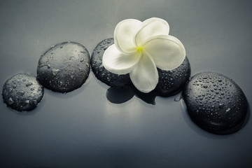 shiny zen stones with water drops and plumeria flower. Top view