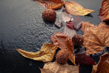 Beautiful autumn leaves fell into the water in the autumn rain. Top view
