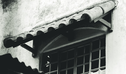 flower, nature, red, plant, autumn, tree, green, garden, orange