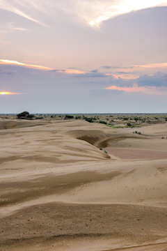 Sunset in Thar desert Rajasthan in India