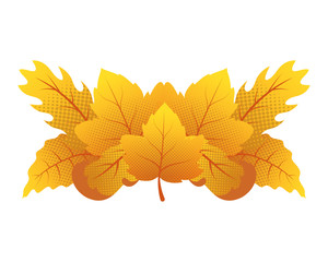 autumn leafs foliage seasonal decoration
