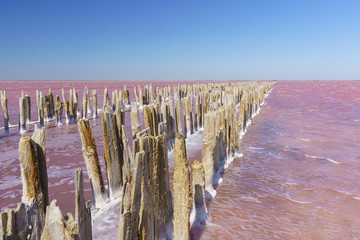 Beautiful view of the textured debris formwork wooden dam on the delightfully bright pink lake Sasyk-Sivash in the West of the Crimean Peninsula, Yevpatoria. Blue sky