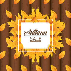 autumn sale square seasonal frame