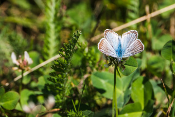 church/chapel close to cliff drop-off above mountain valley