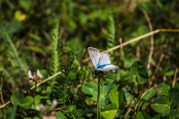 church/chapel close to cliff drop-off above mountain valley