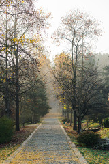 Landscape photo at Autumn Time/November, with view of lake and forest