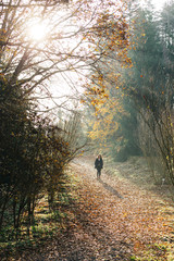 A female model with black coat at forest, behind the model there is a autumn background with yellow, brown and autumn colors