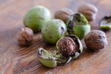 Fresh harvest of walnuts in a green shell.