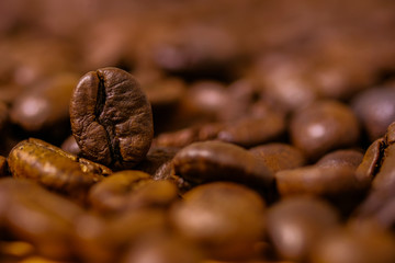 Obraz premium Preparing roasted coffee beans up. Photo filtered in vintage style can be used as a background 