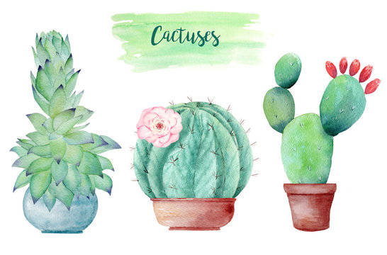Green cacti hand drawn watercolor raster illustration set